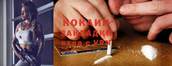 ешки Гусь-Хрустальный