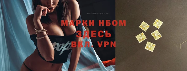 первитин Гусев