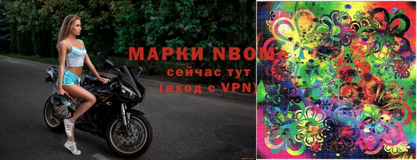 первитин Гусев