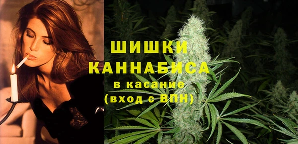 ешки Гусь-Хрустальный