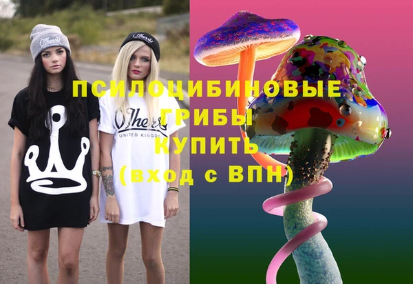 ешки Гусь-Хрустальный