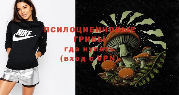 прущая мука Гусиноозёрск