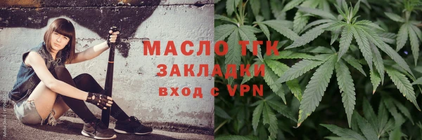 первитин Гусев