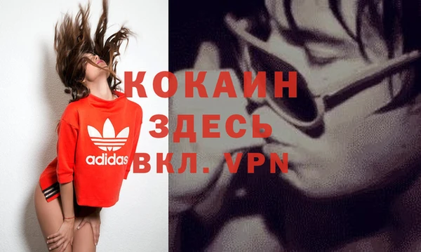 первитин Гусев