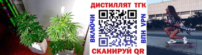 Купить закладки  Трёхгорный  ТГК Wax 