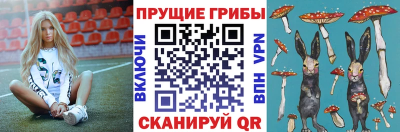 Купить Трёхгорный Галлюциногенные грибы GOLDEN TEACHER